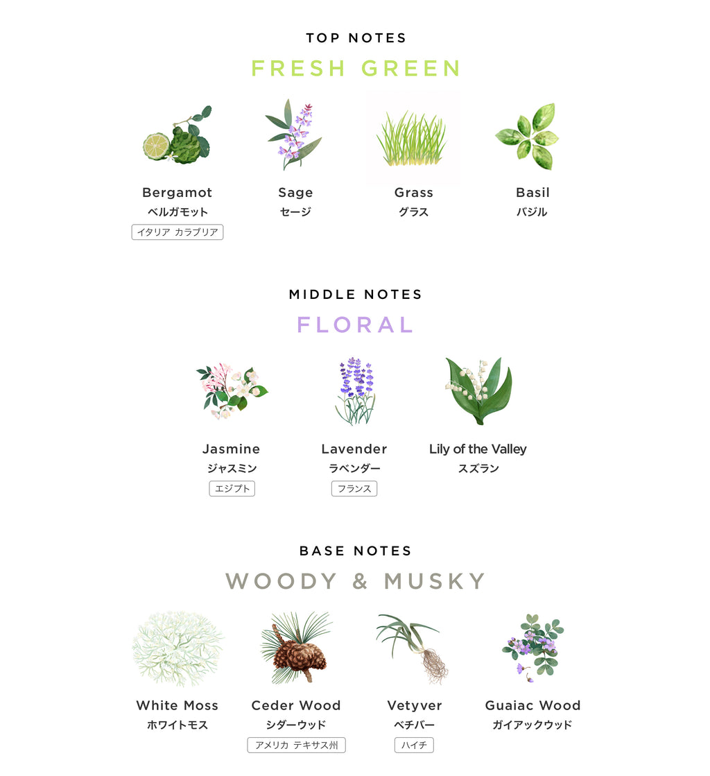 DIFFUSER “AMARE”｜SCENT OF THE ONE