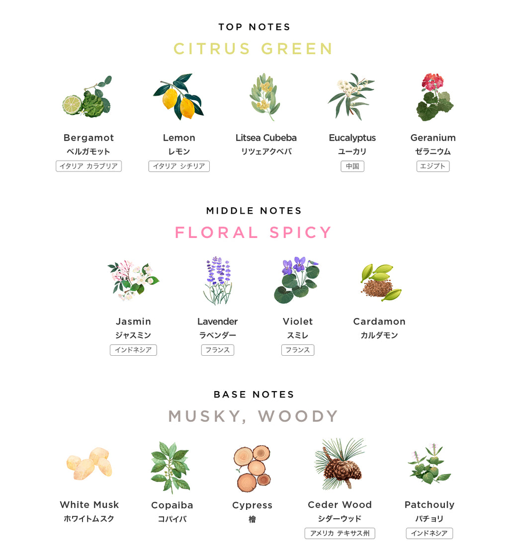 DIFFUSER “CARO”｜SCENT OF THE ONE